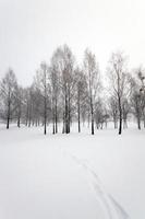 pad in de sneeuw foto