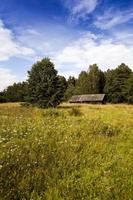 verlaten huis, Wit-Rusland. foto