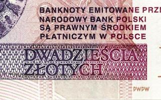 twintig zloty close-up foto