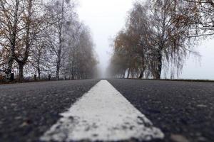 geasfalteerde weg, herfst foto