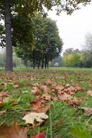 herfstlandschap, park foto