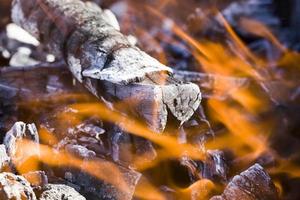 brandende gekapte bomen foto