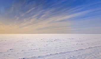 besneeuwd veld - het landbouwgebied bedekt met sneeuw. winter seizoen. Wit-Rusland foto