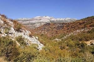 het bergdistrict - de bergen die zich op het grondgebied van montenegro bevinden. zomer van het jaar foto