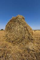 stapel stro in het veld foto