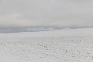 winterse sneeuwverstuivingen, die verschenen na sneeuwval in het winterseizoen. foto van dichtbij genomen