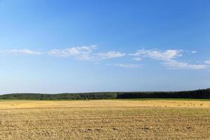 landbouwgebied en blauwe lucht foto