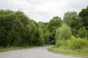 snelweg, bos foto