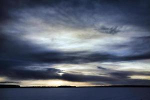 winterlandschap, veld foto