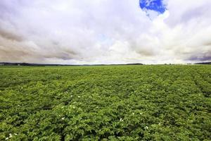 foto landbouw, europa