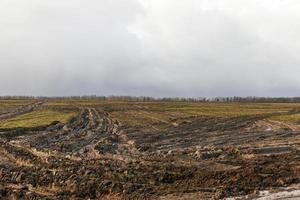 autosporen in het veld foto