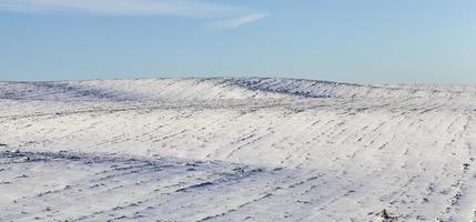 sneeuw in de winter foto