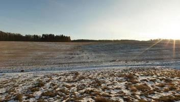 veld in de sneeuw foto