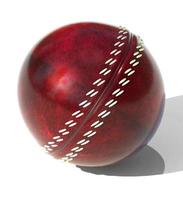 leer rode cricket bal 3d render illustratie foto