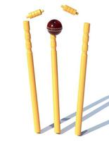 lederen rode bal die een cricketdoel raakt 3d render illustratie foto