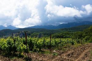 regenwolken over bergen en een vallei met een groene wijngaard. foto