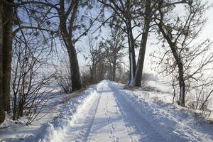 sneeuwval in het winterseizoen en de weg is niet geasfalteerd foto