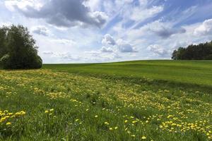 foto landbouw, europa