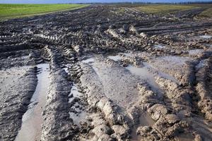 weg in een veld foto