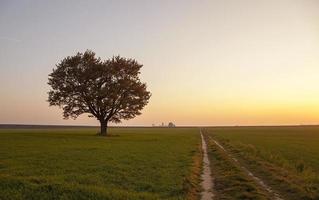 landweg zonder asfalt foto