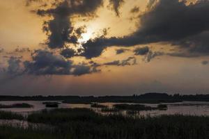 meer met planten tijdens zonsondergang, reflectie in het meer foto