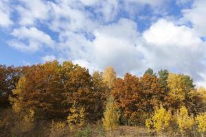 natuur in het herfstseizoen foto