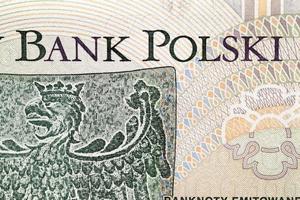 Poolse zloty close-up foto