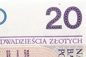 twintig zloty close-up foto