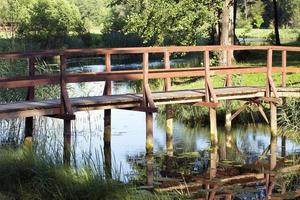 oude houten brug foto