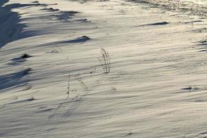 sneeuw die viel tijdens een sneeuwval en droog gras foto