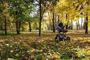 kinderwagen in de herfst foto