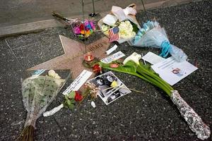 los angeles, 27 februari - herdenkingskrans bij de ster van leonard nimoy op de hollywood walk of fame op de hollywood blvd op 27 februari 2015 in los angeles, ca foto