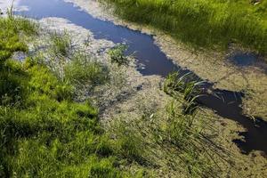 vuil water in een meer of rivier foto