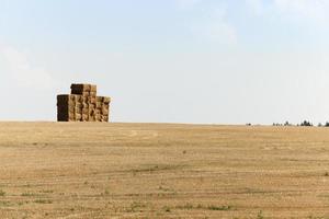 vierkante stapel stro foto