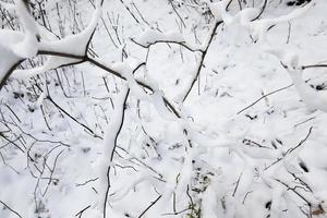 sneeuw drijft in de winter foto