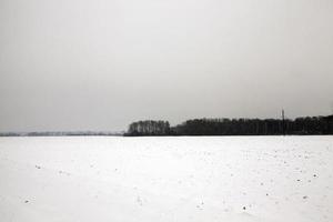 winterlandschap, sneeuwval foto