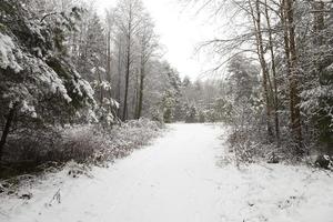 besneeuwde weg foto