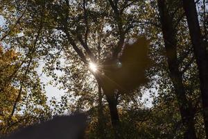 parkeren in de herfst foto