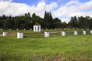 gras bij het fort foto