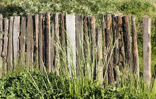 houten hek veld gras, close-up foto