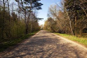 lente weg, platteland foto