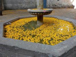 gele bloemblaadjes in het water van een stenen fontein foto