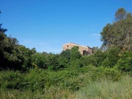 weelderige vegetatie in de bergen van collcerola pulmon van de stad barcelona en omgeving, spanje foto