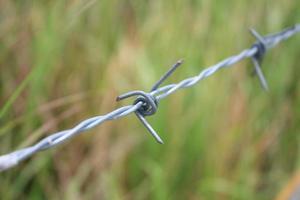 prikkeldraad hek en groene veld close-up foto