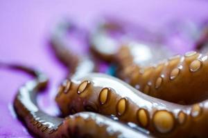 octopus tentakels close-up foto