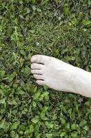 blote voet in het gras foto