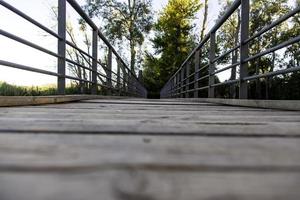 houten loopbrug in het water foto