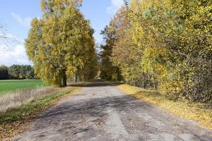 weg in het herfstseizoen foto