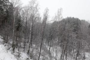 sneeuw drijft in de winter foto