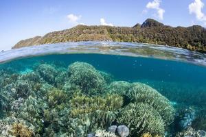koraalrif en eilanden van wayag, raja ampat foto